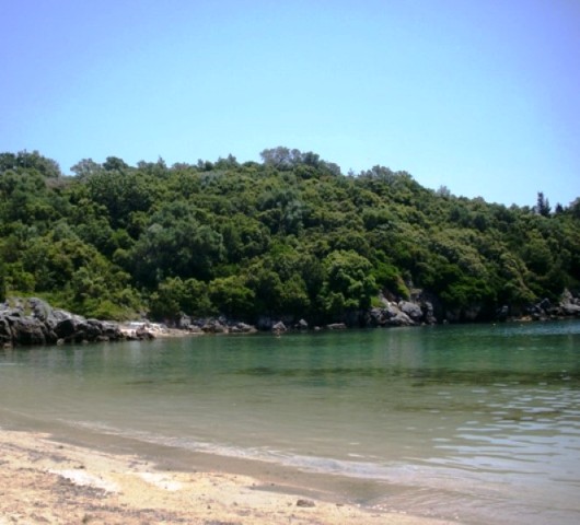 plaza-zavia-sivota